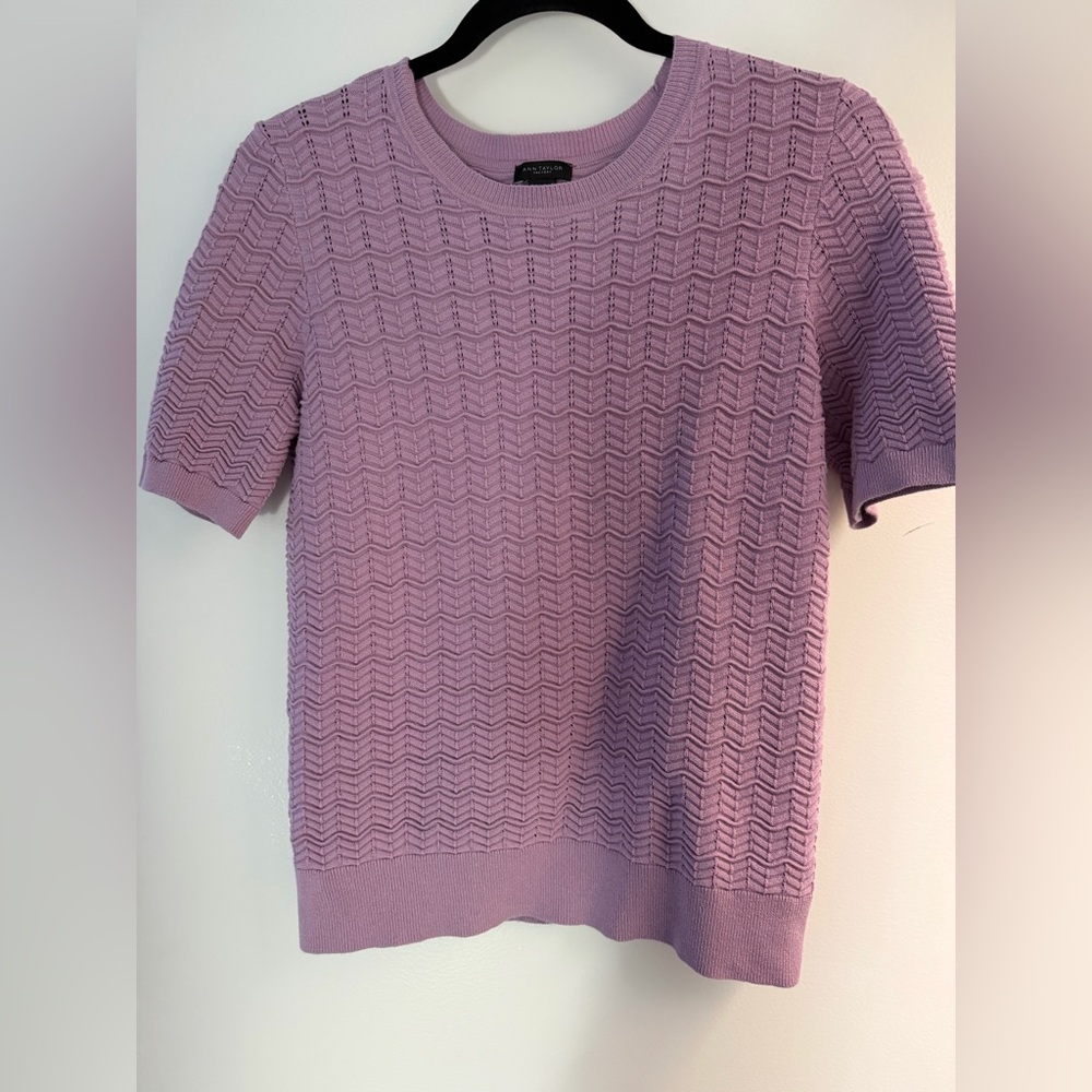 Ann Taylor Lavender Knit Top